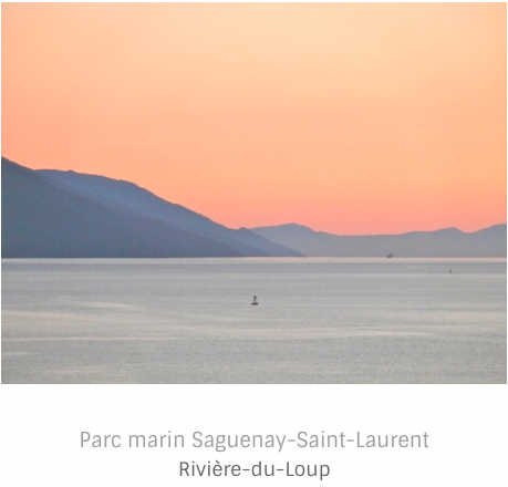 Parc marin Saguenay - Saint-Laurent